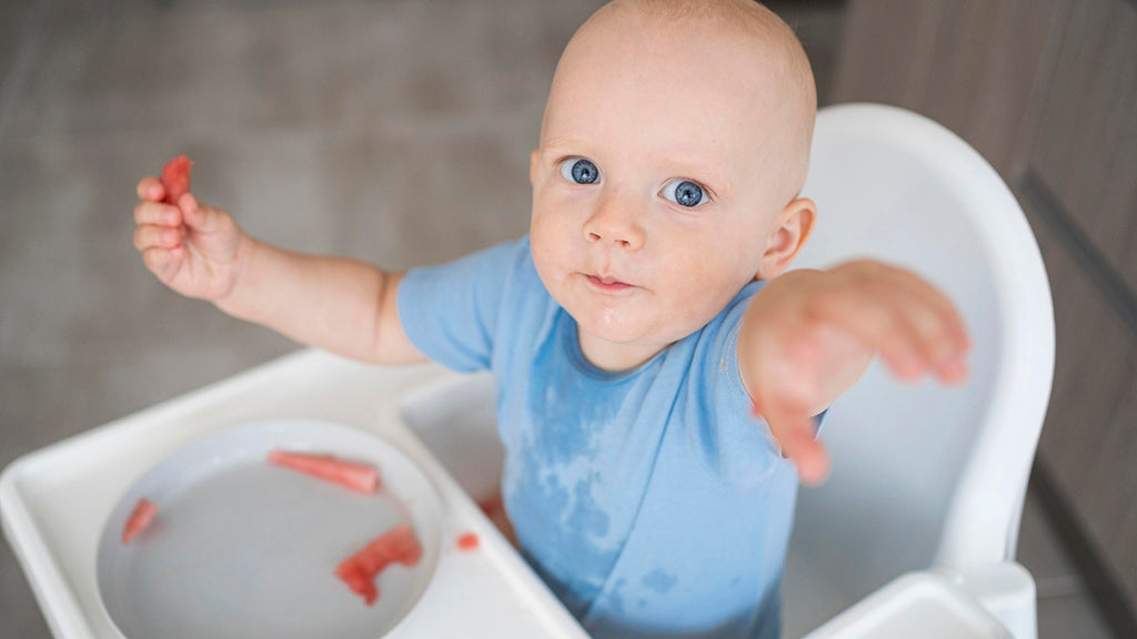 Foods for the Toddler to Maintain Good Health
