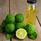 Bergamot Oil