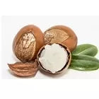 Shea Butter