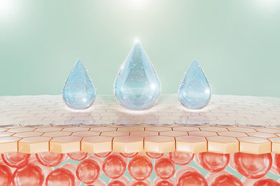 WATERPROOF AND FAST ABSORBING 